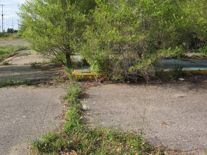 Wallis Drive-In - Wallis North - 5414 N Saginaw